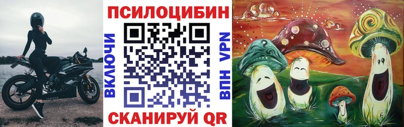 Псилоцибиновые грибы Cubensis  закладка  Усть-Кут 